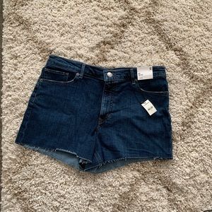 NWT Express Midi High Rise Jean Shorts Sz 12